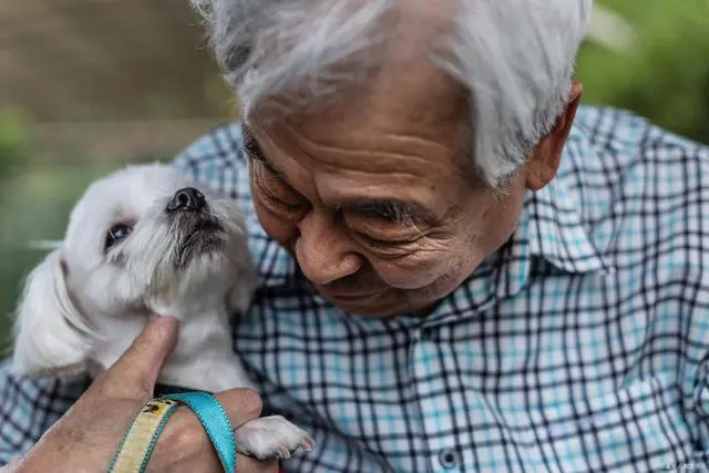 飼養(yǎng)寵物對(duì)老年人的好處 可能會(huì)延長你的壽命